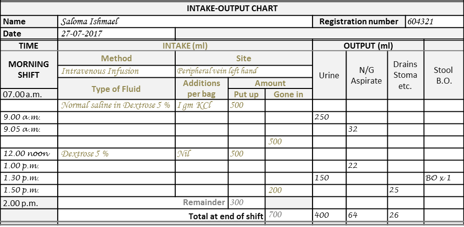 The Intake-Output Chart | Health Care Service Delivery