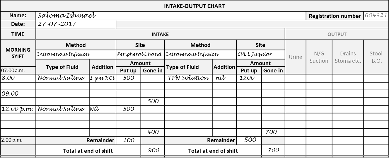 Fluid Intake Output Chart