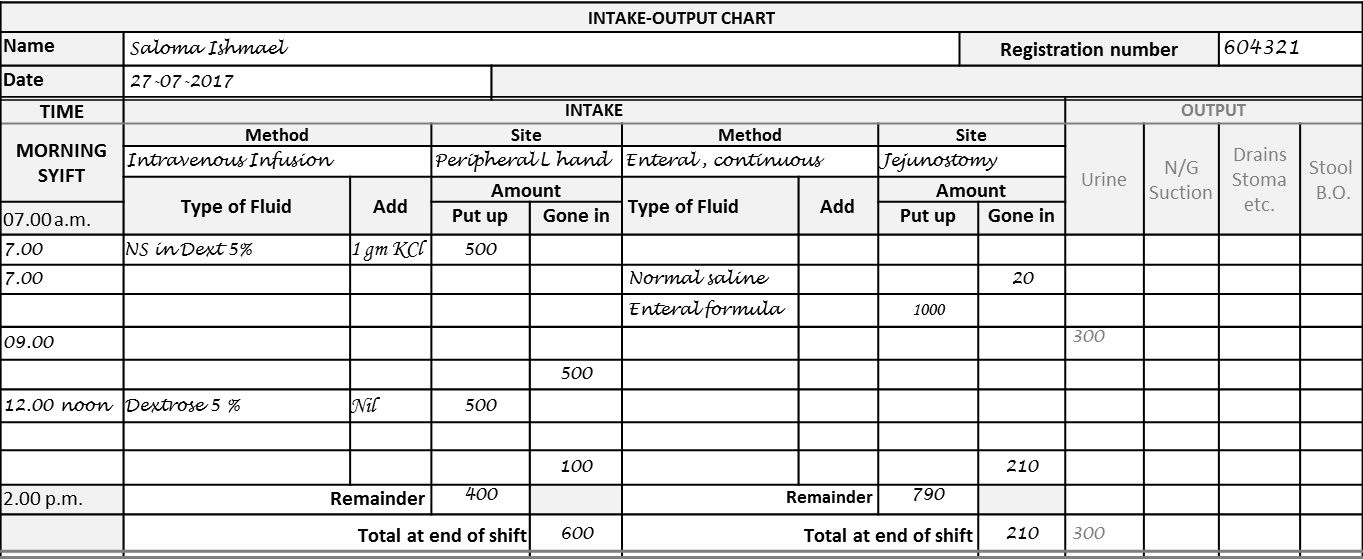 Urine Intake And Output Chart